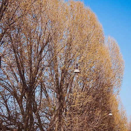 All'orologio Bed and Breakfast 4*